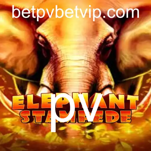 Descubra ElephantStampede: Um Mundo Aventuroso e Estratégico
